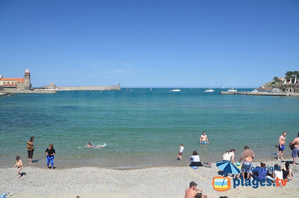 Plage de Port d'Avall et vue sur la baie de Collioure