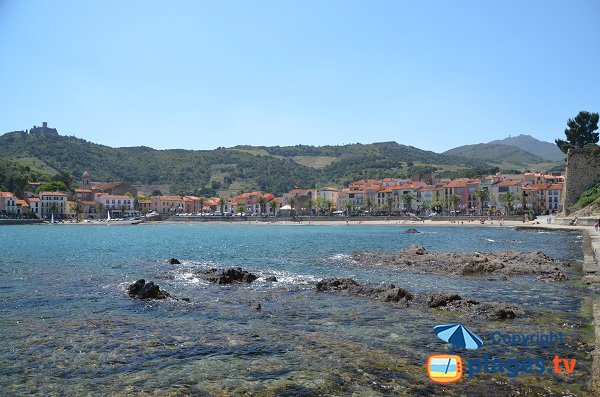 Port d'Avall beach - view from castle of Collioure