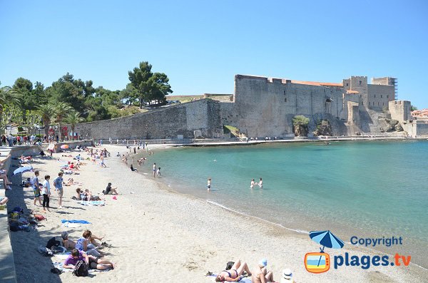 Photo de la plage de Port Avall - Collioure