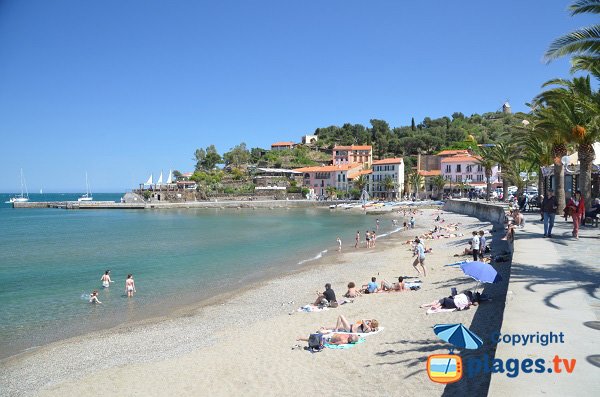 Plage de Collioure côté Côte Vermeille