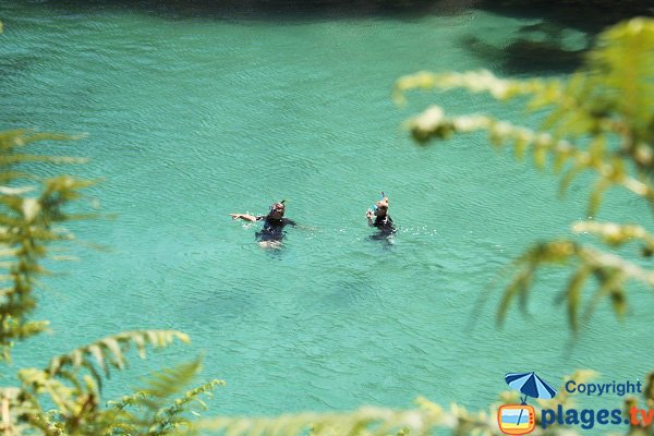 Snorkelers in Sauzon