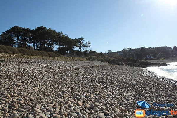 Environnement de la plage de Port Blanc - Plougasnou