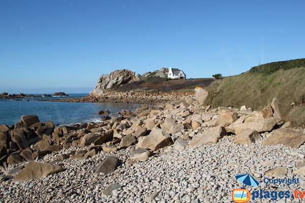 Nature sur la plage de Port Blanc à Plougasnou