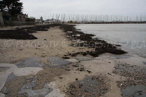 Plage de sable à côté du port de Piriac