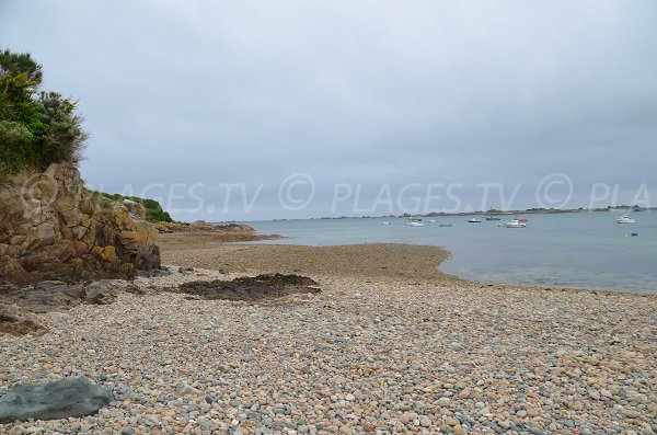 Plage de galets sur la gauche du port du Castel (Plougrescant)