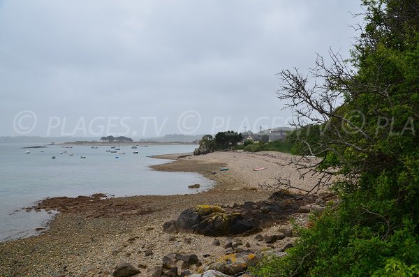 Vue d'ensemble de la plage du Castel à Plougrescant