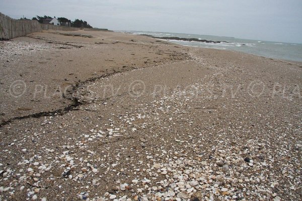 Plage de sable à La Turballe en direction de Piriac sur Mer