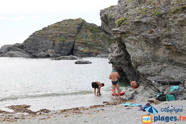 Cliffs of Porh Gwenn beach in Belle Ile