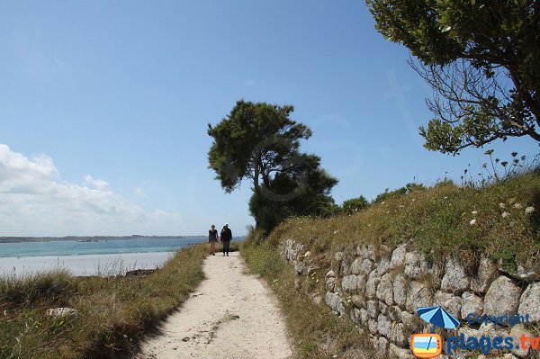 Talus on the island of Sieck