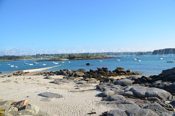 Vue sur l'île Grande depuis le port de Landrellec