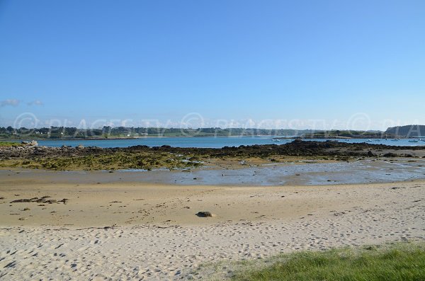 Plage du port de Landrellec à marée basse - vue sur l'ïle Grande