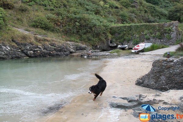 Plage de Port Maria à marée haute - Locmaria - Belle Ile