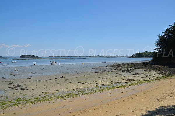 Plage de Port Miquel sur l'ile aux moines