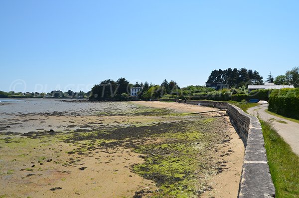 Plage au nord-est de l'ile aux moines