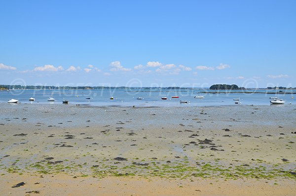 Vue sur les ilots du golfe du Morbihan depuis la plage de Port Miquel