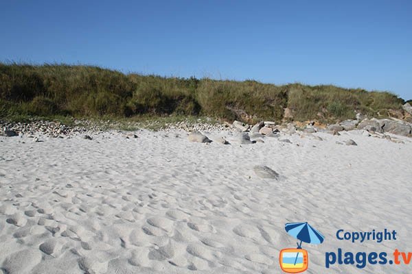 Dune de la plage de Port Neuf à Sibiril - Bretagne