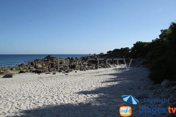 Plage ombragée à Sibiril en Bretagne