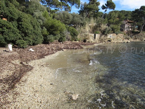 Photo of the beach in the port of Niel - Giens