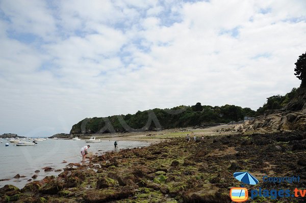 Photo of Port Picain beach in Cancale