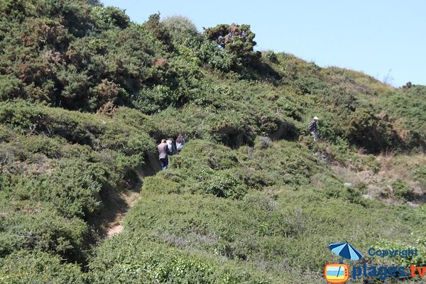 Path of the Douaniers next to Port-Puce - Sauzon