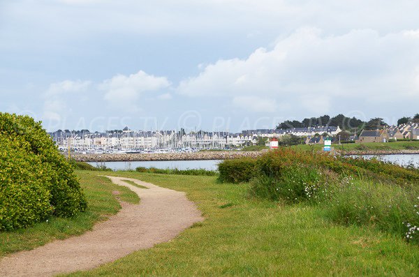 Port of Crouesty in Arzon