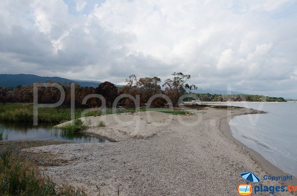 Plage à côté du port de Solenzara