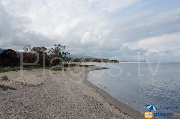 Plage à l'embouchure de la rivière de Solenzara