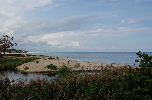 Foto della spiaggia del Porto di Solenzara - Corsica