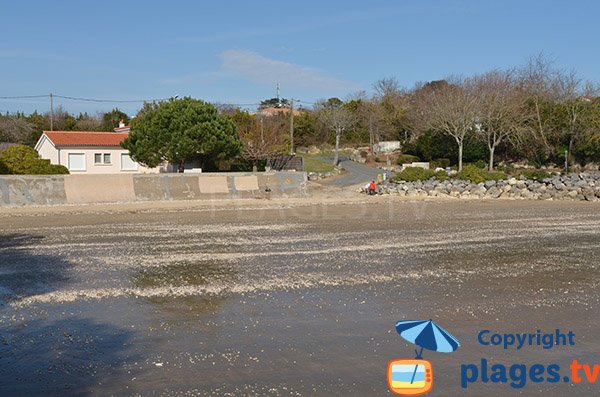 Sand on the Port beach - Saint Georges de Didonne