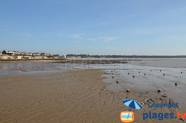 Plage du Port à marée basse - St Georges de Didonne