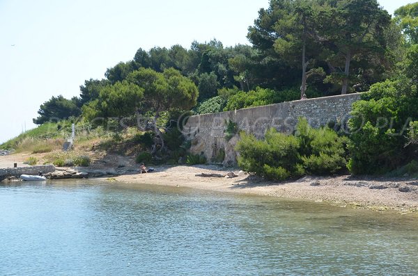 Plage de sable sur l'île de Saint-Honorat - Le port