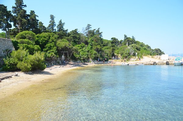 Se baigner sur l'ile de Saint Honorat - Plage du Port