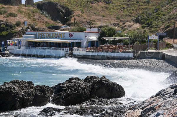 Cap Béar or Cristina beach - Port Vendres