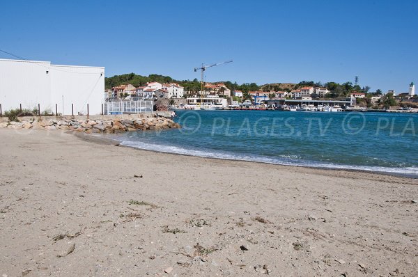 Tamarins beach in Port Vendres