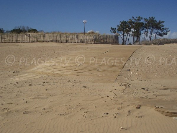 Environement de la plage de la porte des Iles à Grière Plage