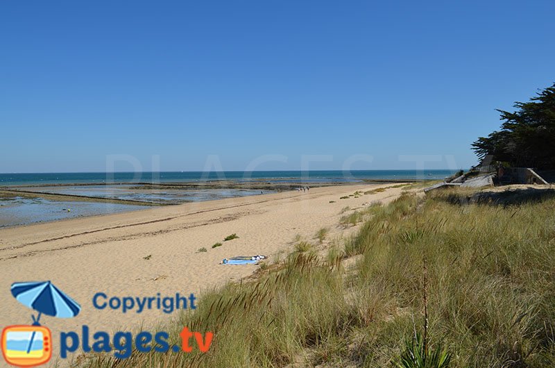 Plage Portes en Ré