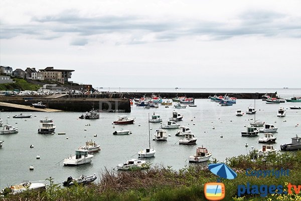 Port de pêche du Conquet