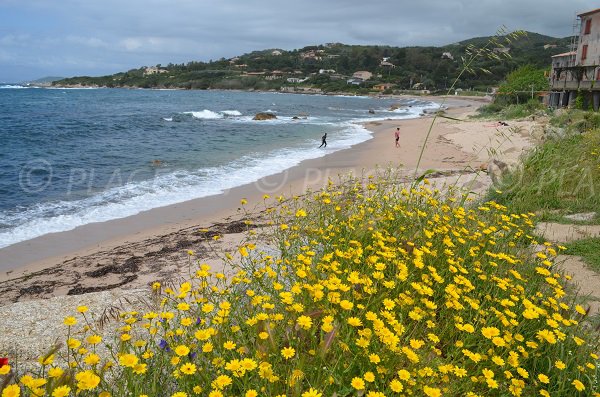 Portigliolo beach in Coti Chiavari in Corsica