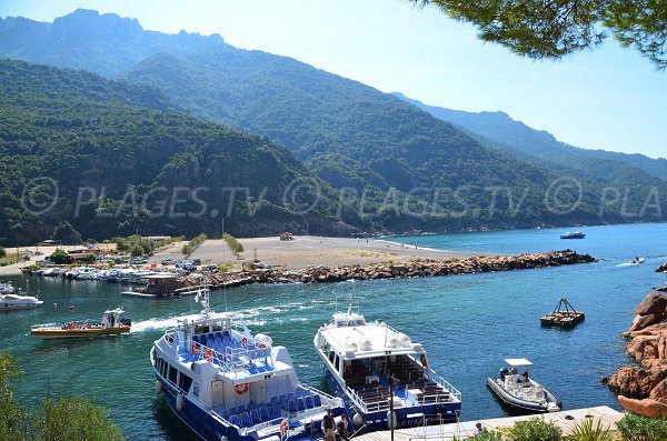 Spiaggia e porto di Porto - Corsica