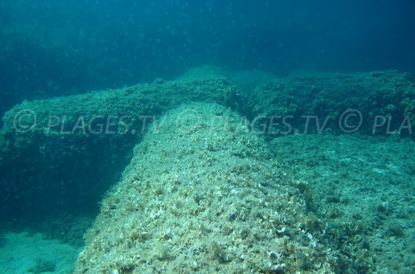 Colonne de marbre dans le golfe de Porto Novo