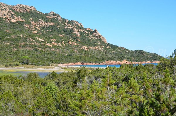 Pond and gulf of Porto-Novo in Corsica