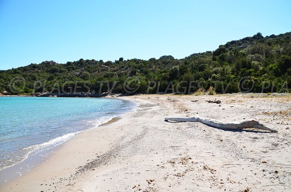 Plage de sable dans le golfe de Porto Novo entre Porto Vecchio et Bonifacio