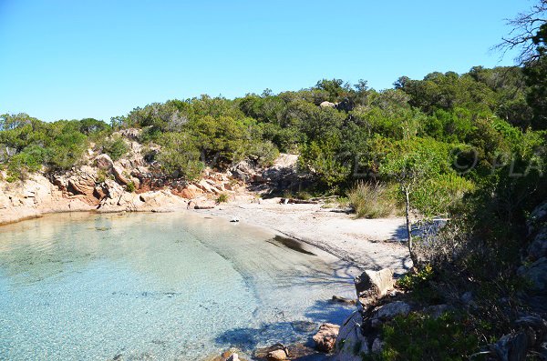 Cricca di Porto Novo - Corsica