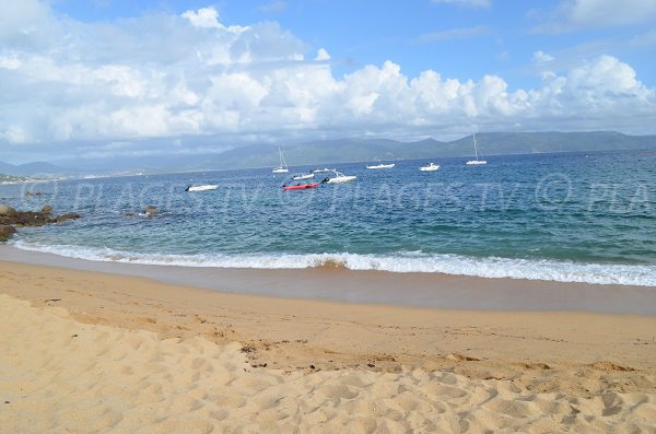 beach in Porto-Pollo in Corsica