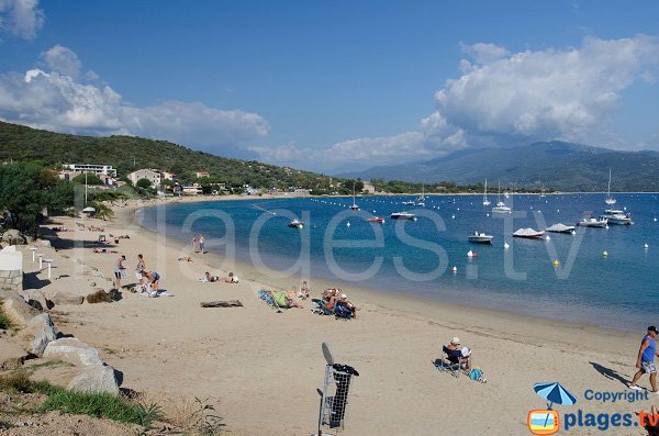 Photo of Porto Pollo beach in Corsica