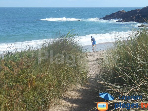 Dune della spiaggia di Portouais - Cap d'Erquy - Bretagna