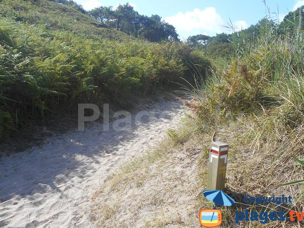 Sentier d'accès à la plage du Portouais - Bretagne