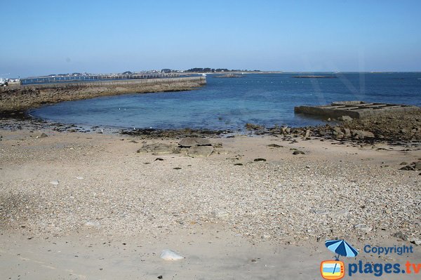 Vue sur l'ile de Batz depuis la plage de Roscoff