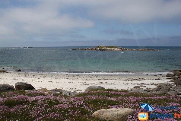 Plage sauvage au nord de l'ile de Batz