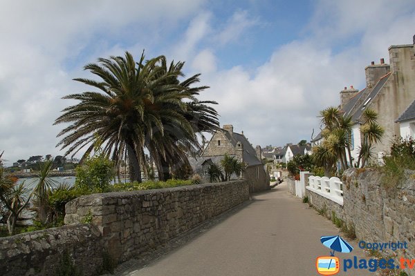 Rue à côté de la plage de Porz Kernok - Ile Batz